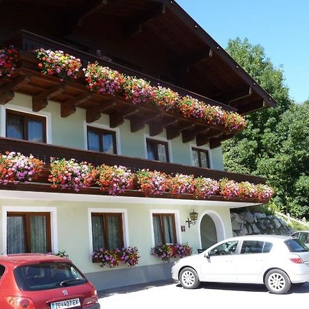 Haus Rieder Georg Διαμέρισμα Maria Alm am Steinernen Meer Εξωτερικό φωτογραφία