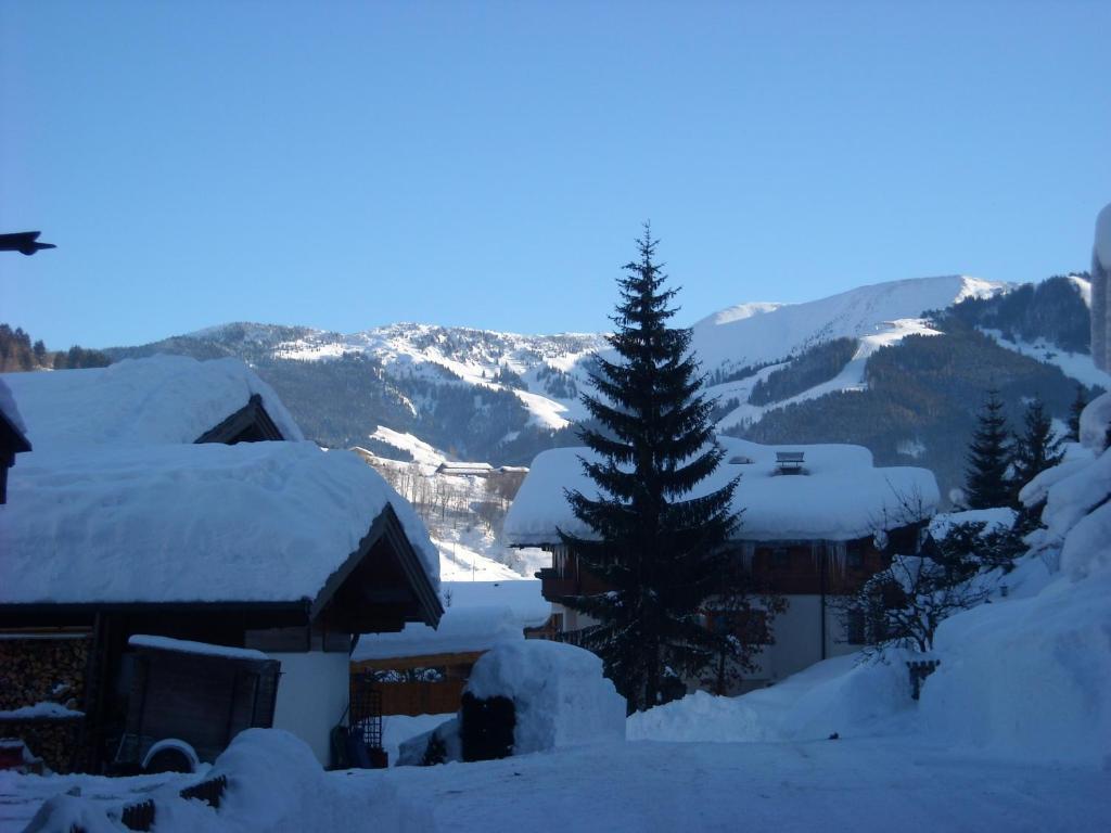 Haus Rieder Georg Διαμέρισμα Maria Alm am Steinernen Meer Εξωτερικό φωτογραφία