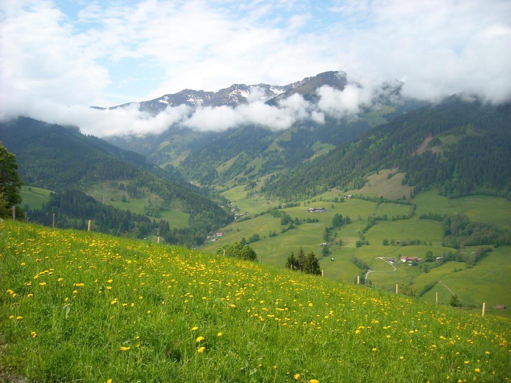 Haus Rieder Georg Διαμέρισμα Maria Alm am Steinernen Meer Εξωτερικό φωτογραφία