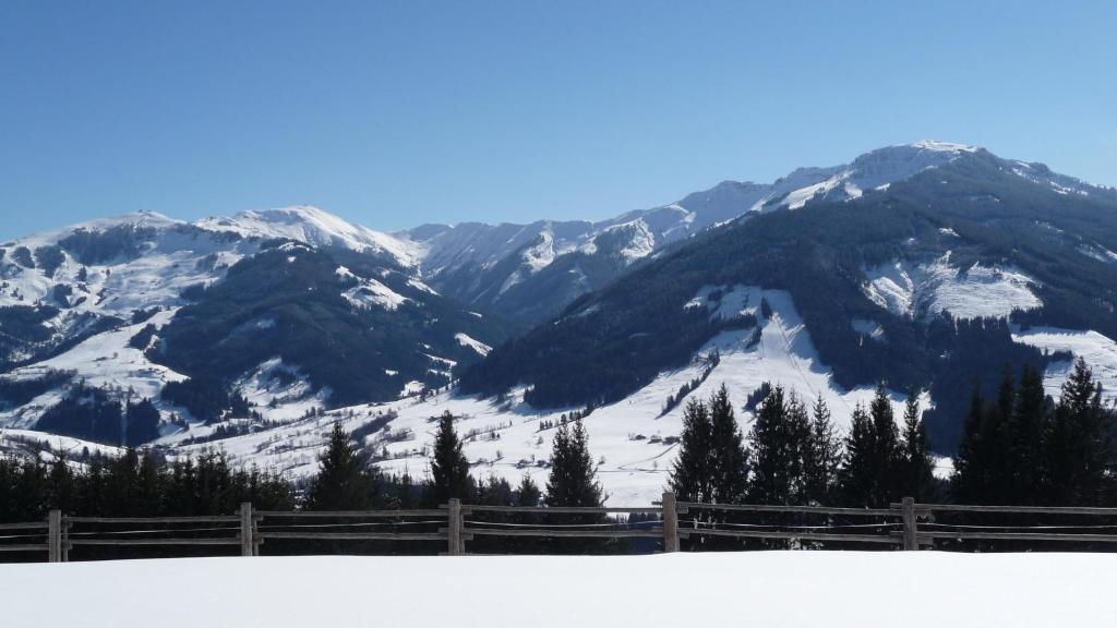 Haus Rieder Georg Διαμέρισμα Maria Alm am Steinernen Meer Εξωτερικό φωτογραφία