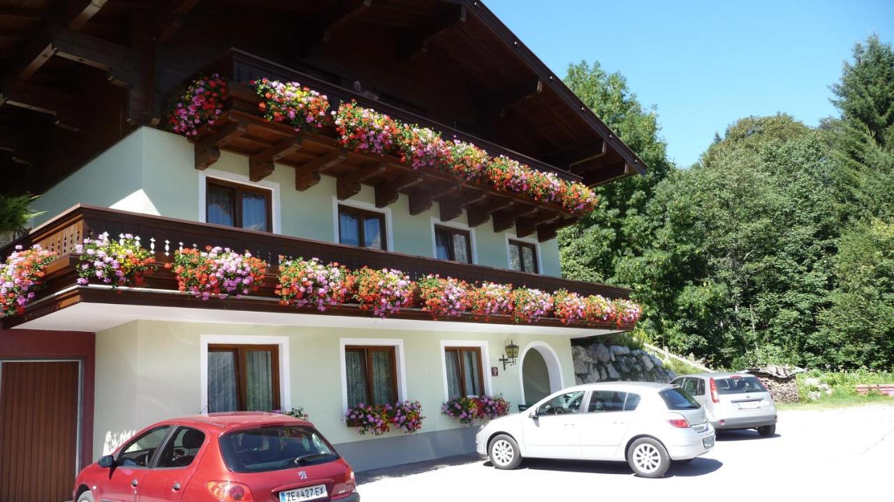 Haus Rieder Georg Διαμέρισμα Maria Alm am Steinernen Meer Εξωτερικό φωτογραφία